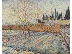 mwe09553 Vincent Willem van Gogh  Obstgarten mit Zypressen