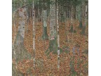 mwe12722  Gustav Klimt  Birkenwald