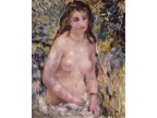 mwe19987 Pierre-Auguste Renoir  Akt in der Sonne