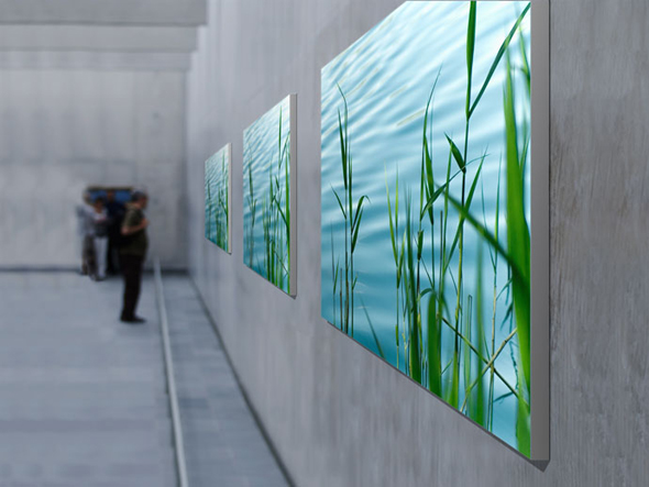 Bild Mit Hintergrundbeleuchtung: A Comprehensive Guide to Backlit Images